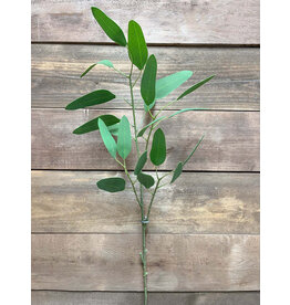 Tri W Imports 30" Feather Eucalyptus Spray