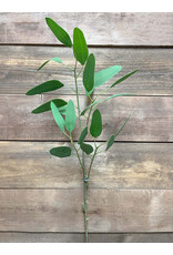 Tri W Imports 30" Feather Eucalyptus Spray