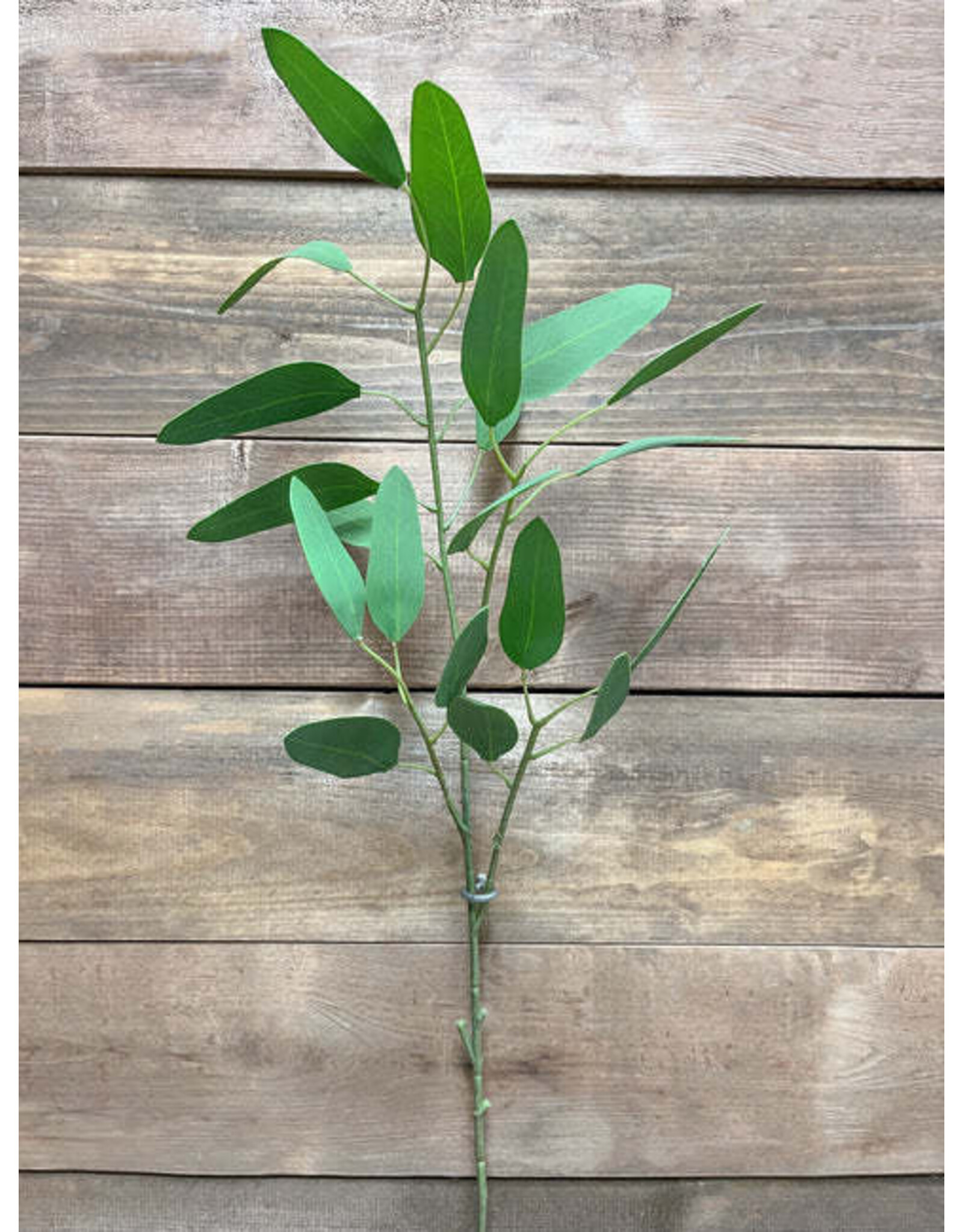 Tri W Imports 30" Feather Eucalyptus Spray