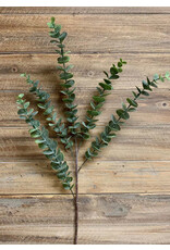 Tri W Imports Green Eucalyptus Spray w 5 Branches