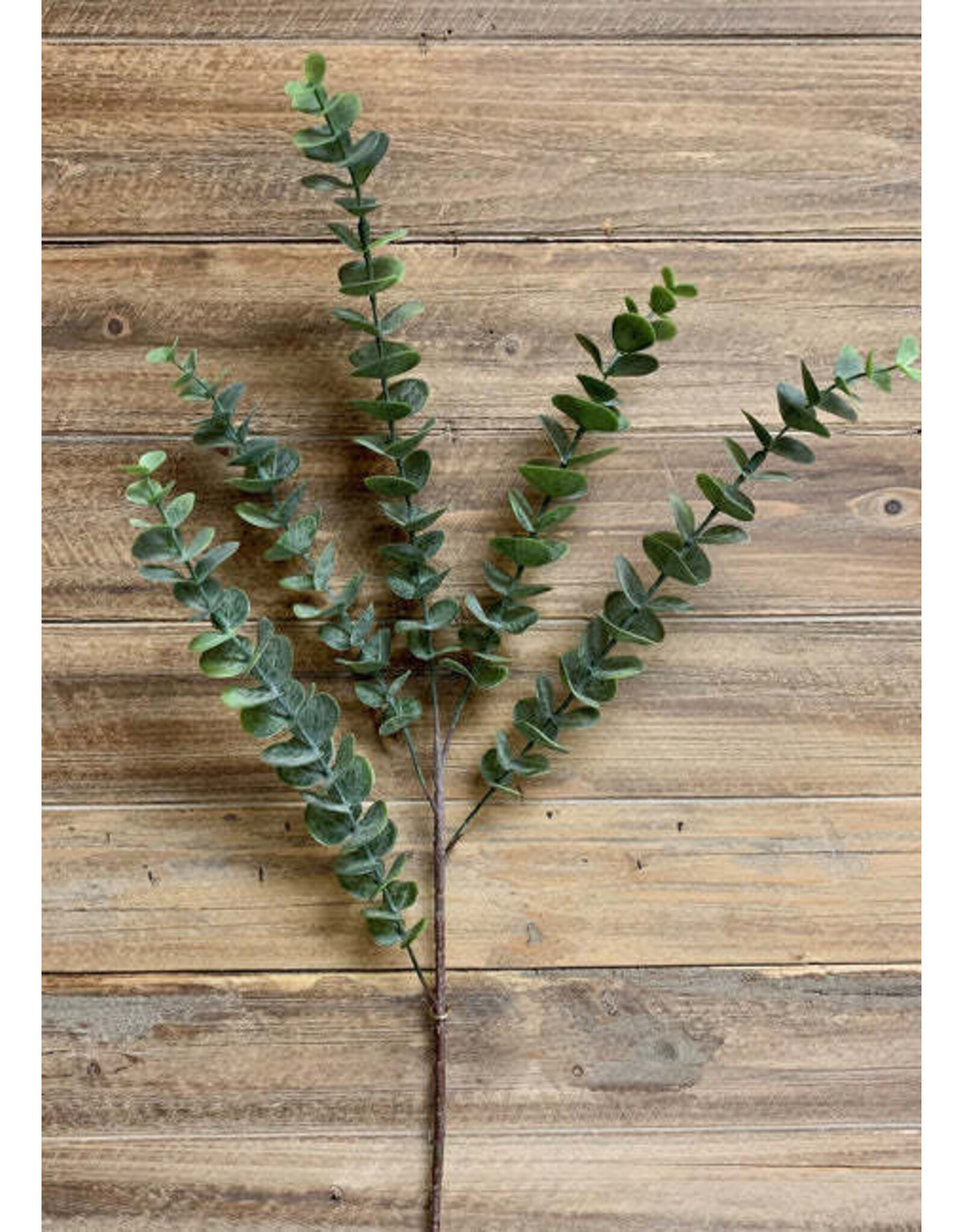 Tri W Imports Green Eucalyptus Spray w 5 Branches