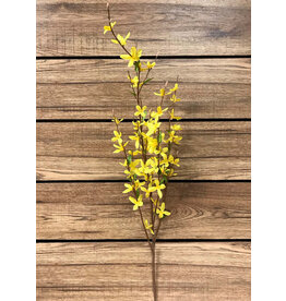 Tri W Imports Forsythia Spray - 38"