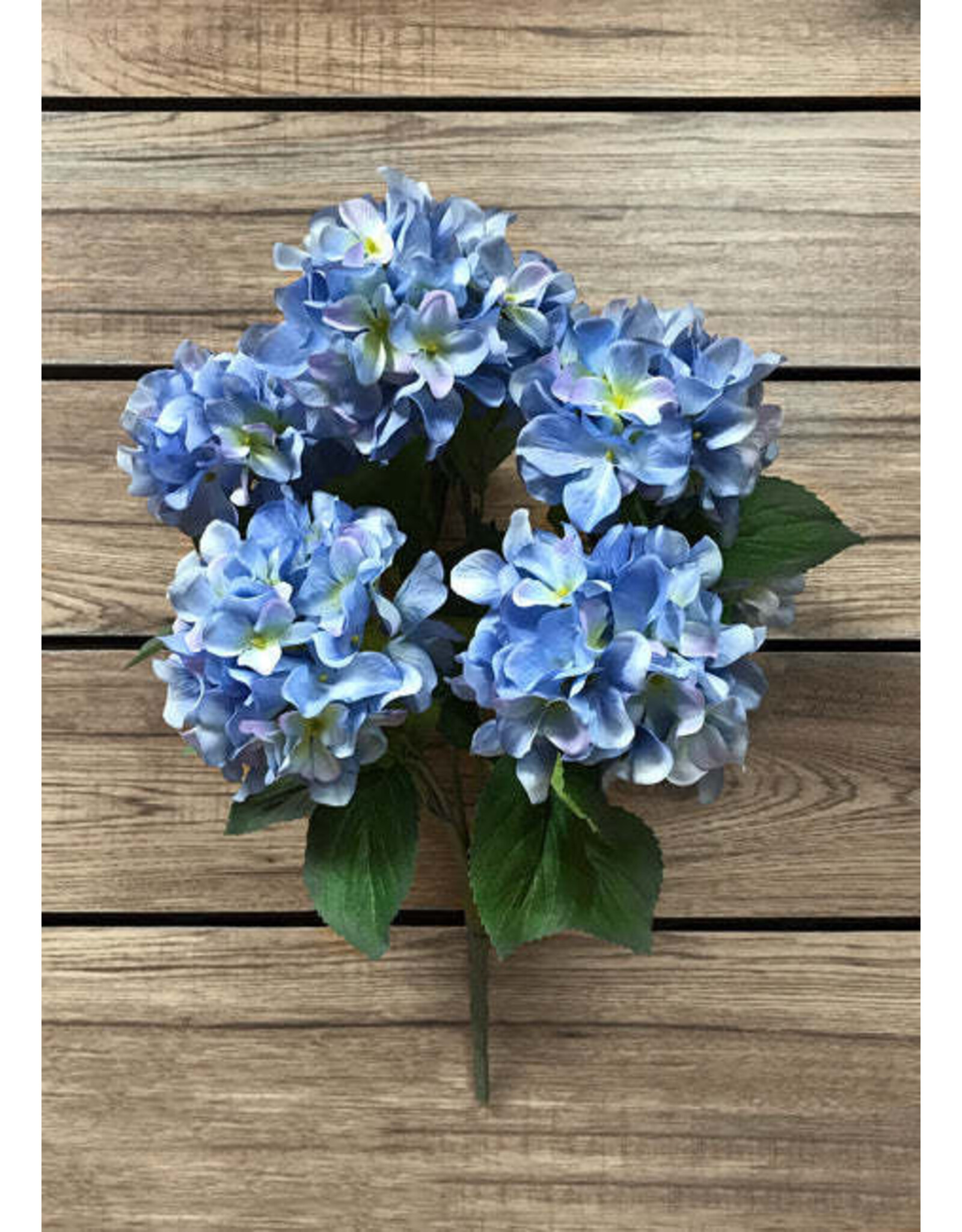 Tri W Imports Blue Hydrangea Bush - 21"