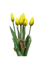 Tuin Tulip Bud Bundle/7 17" Yellow