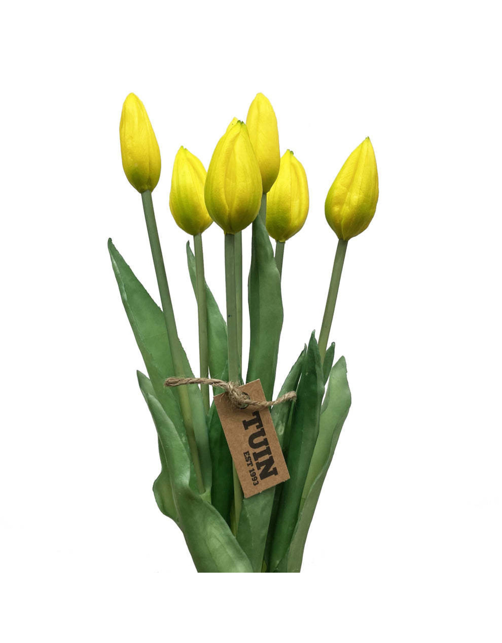 Tuin Tulip Bud Bundle/7 17" Yellow