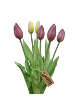 Tuin Tulip Bud Bundle/7 17" Purple