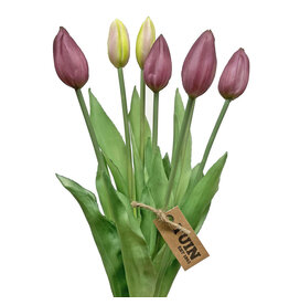 Tuin Tulip Bud Bundle/7 17" Purple