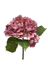 Tuin Faux Hydrangea Natural 20.5" - Pink