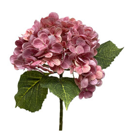 Tuin Faux Hydrangea Natural 20.5" - Pink