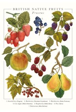 Just Because - British Native Fruits