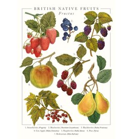 Just Because - British Native Fruits