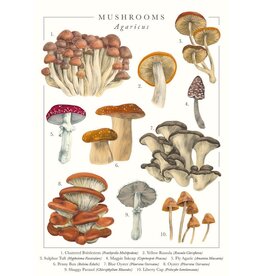 Just Because - Mushrooms