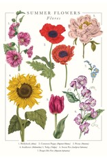 Just Because - Summer Flowers