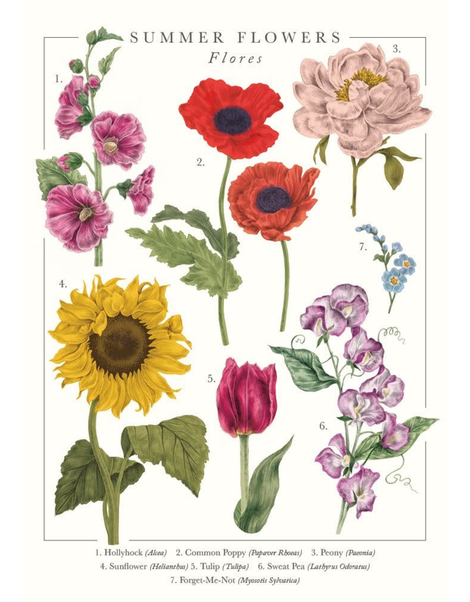 Just Because - Summer Flowers