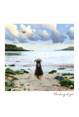 Thinking of You - Dog At The Beach