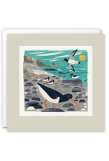 Just Because - Oystercatchers