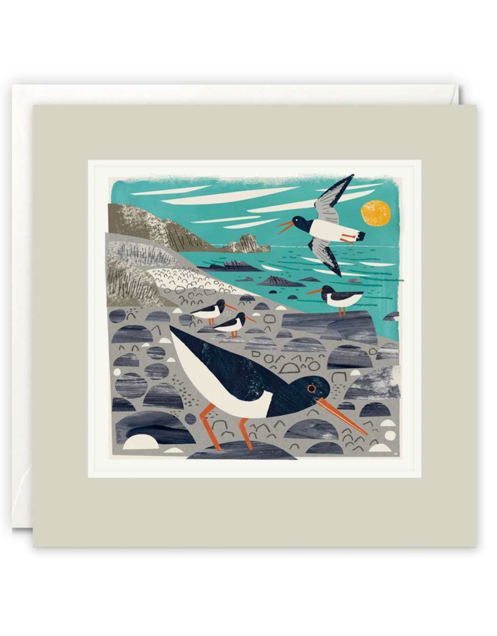 Just Because - Oystercatchers