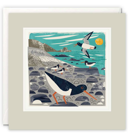 Just Because - Oystercatchers