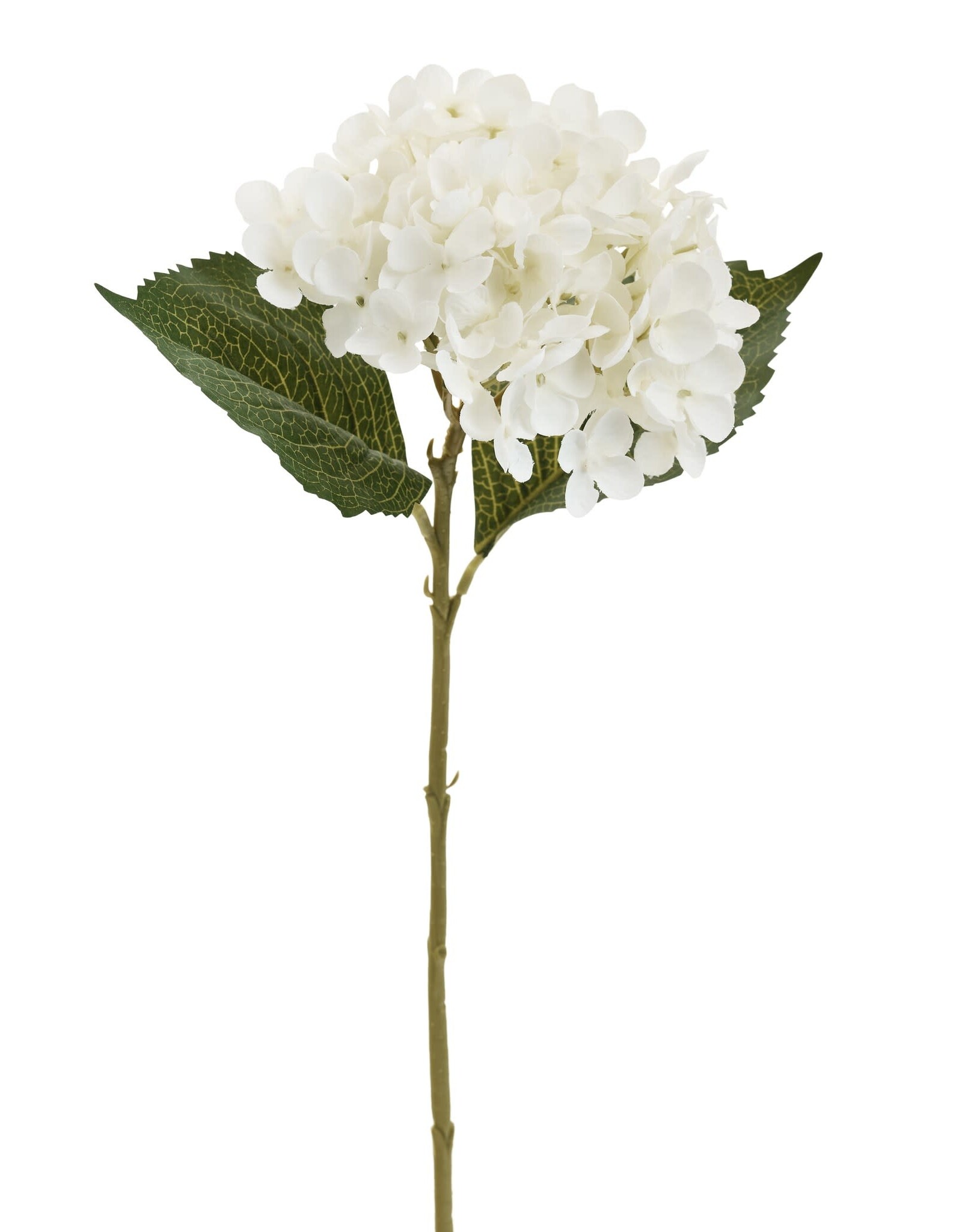 White Hydrangea  Spray