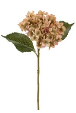 Mauve/Green Hydrangea  Spray