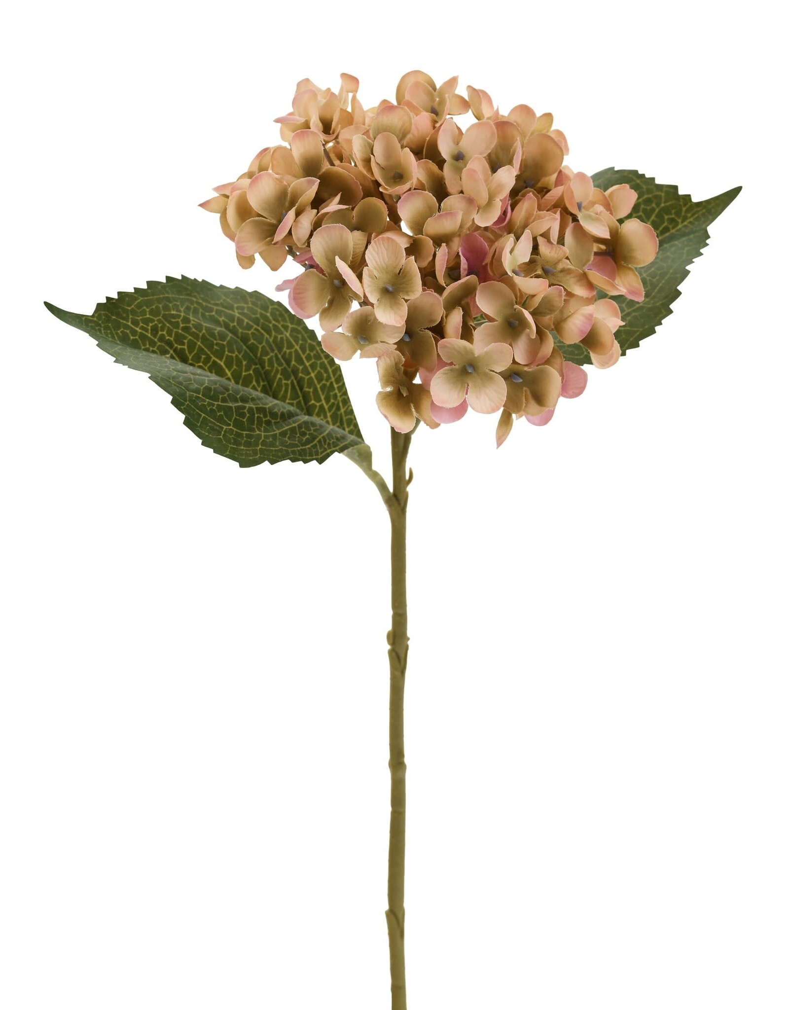 Mauve/Green Hydrangea  Spray