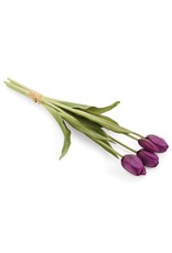 Purple Tulip Bundle 0f 5
