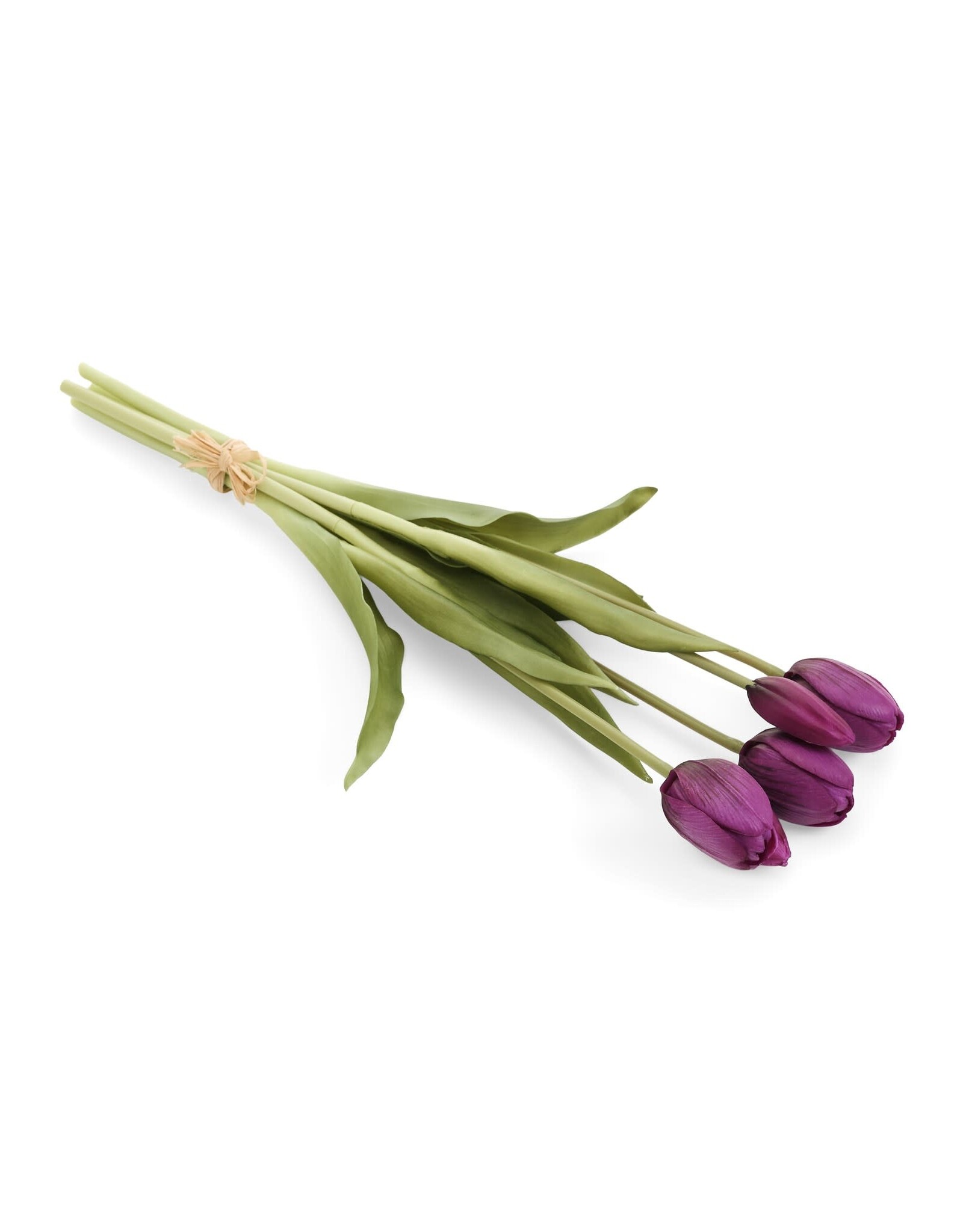 Purple Tulip Bundle 0f 5