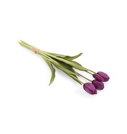 Purple Tulip Bundle 0f 5