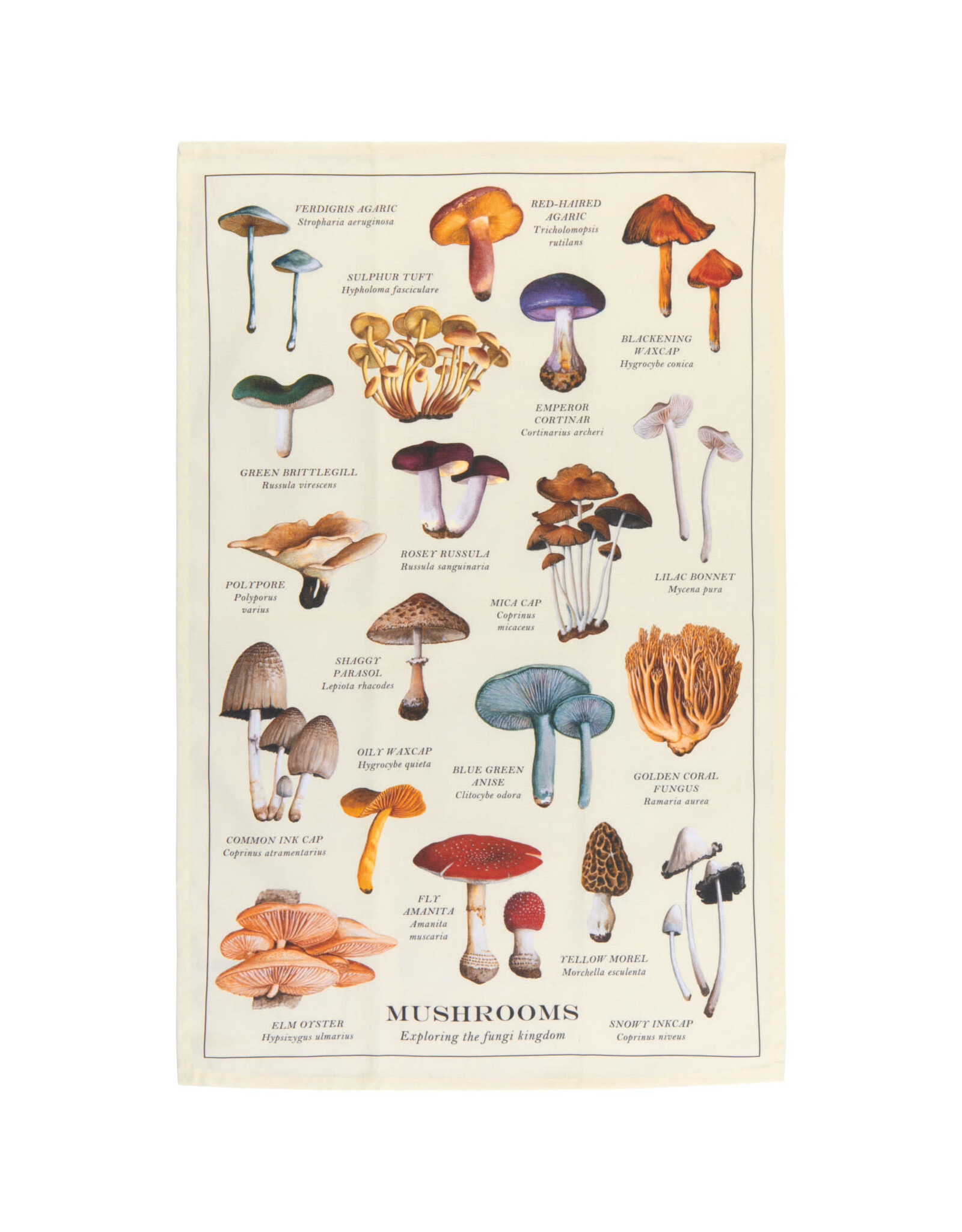 Mushrooms Fine Print Dishtowel