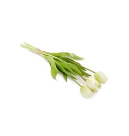 Tulip Bundle of 5 - White/ Green -16"H