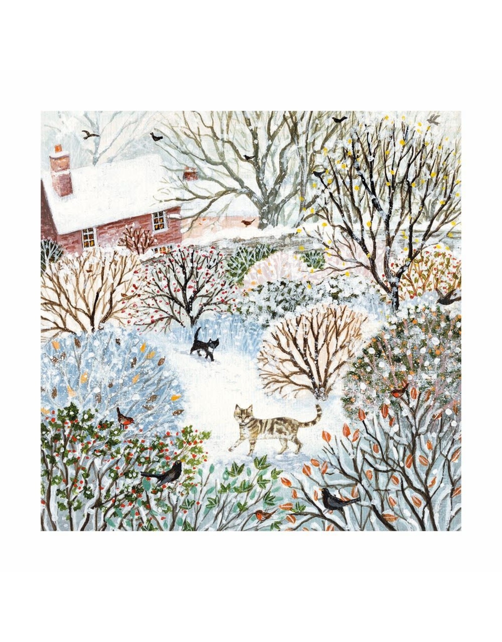 Boxed Cards - Winter Walks - 20 Cards