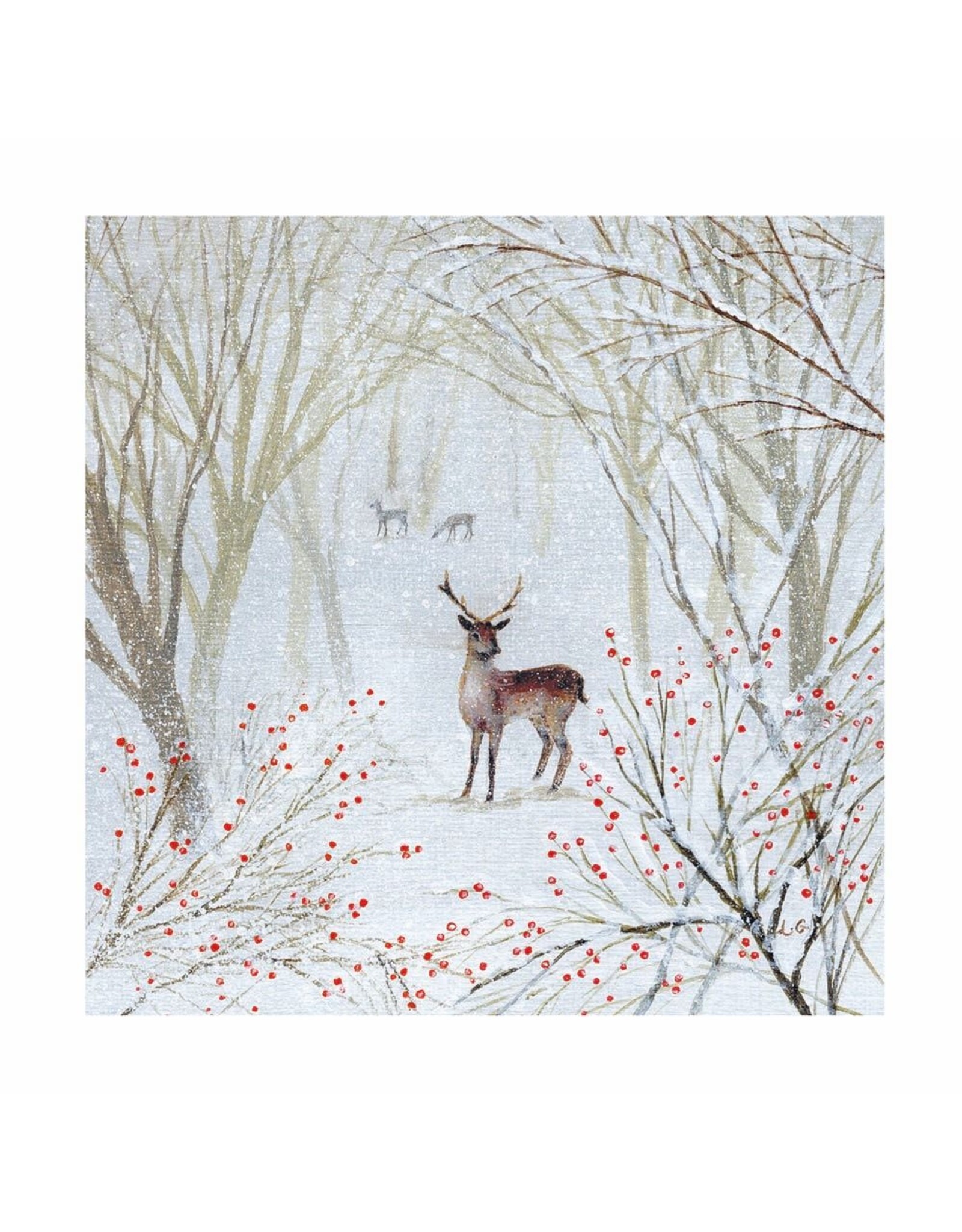 Boxed Cards - Winter Walks - 20 Cards