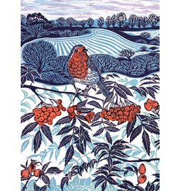 Boxed Cards - Midwinter Robin