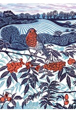 Boxed Cards - Midwinter Robin