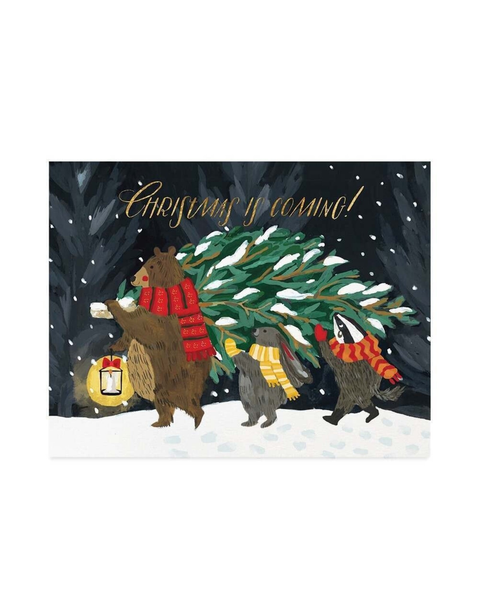 Christmas - Tree Shopping