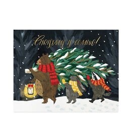 Christmas - Tree Shopping