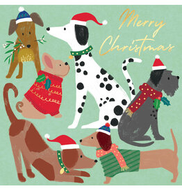 Christmas - Merry Christmas Dogs