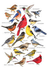 Christmas - Songbirds