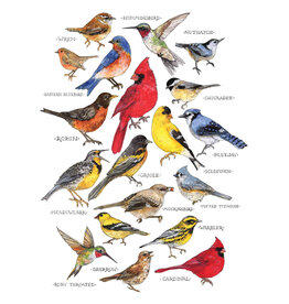 Christmas - Songbirds