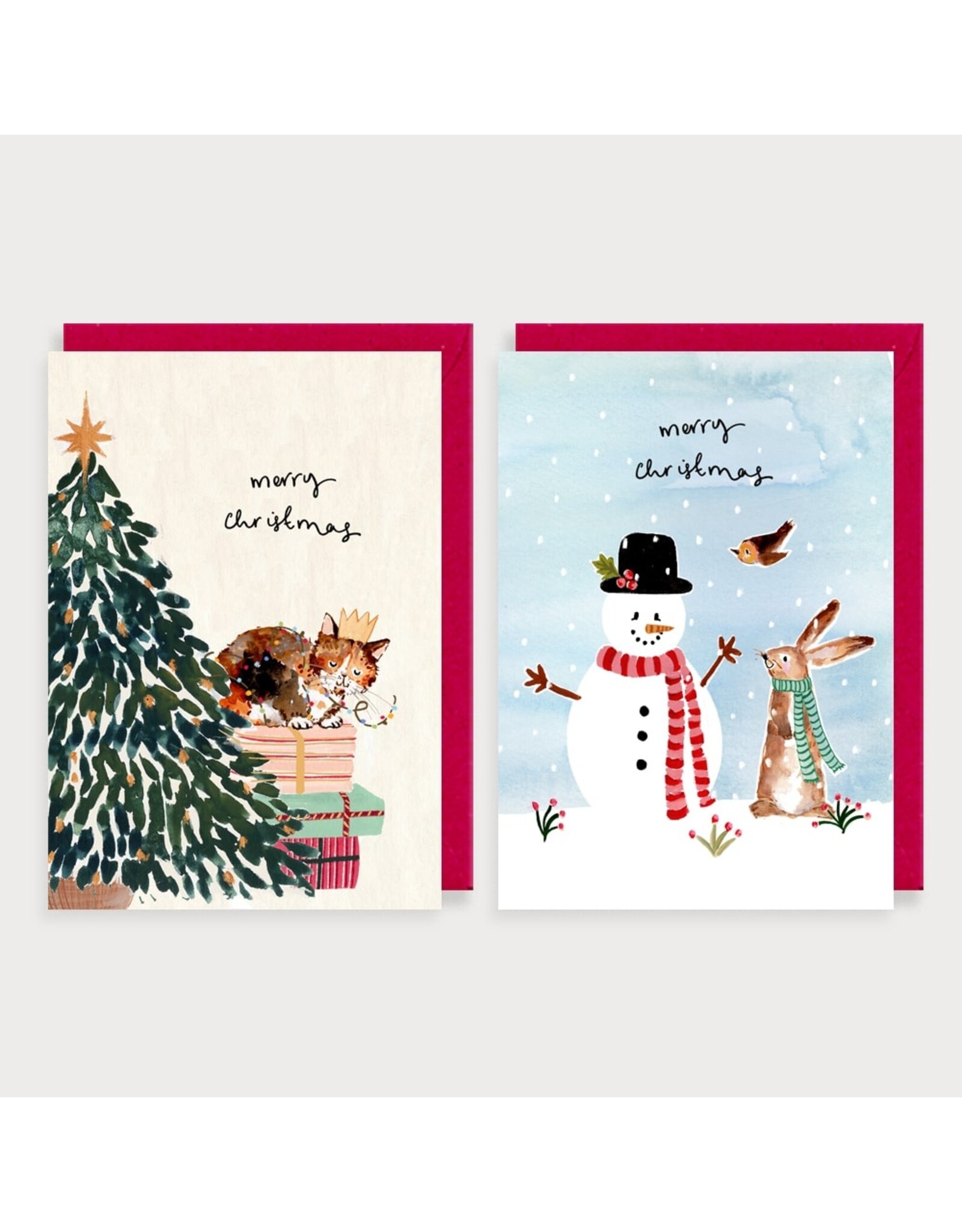 Boxed Snowman And Cat
