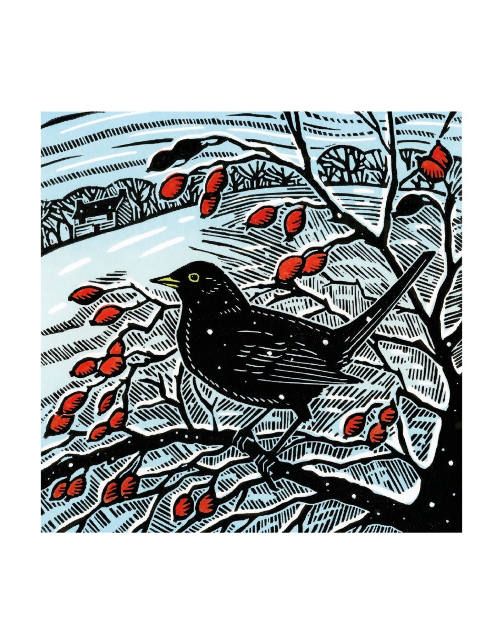 Boxed - Blackbird And Berries
