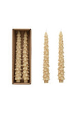 10" H Unscented Tree Shaped Taper Candles in a  Box - Eggnog