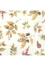 Pumpkin Love Cream Paper Cocktail Napkins