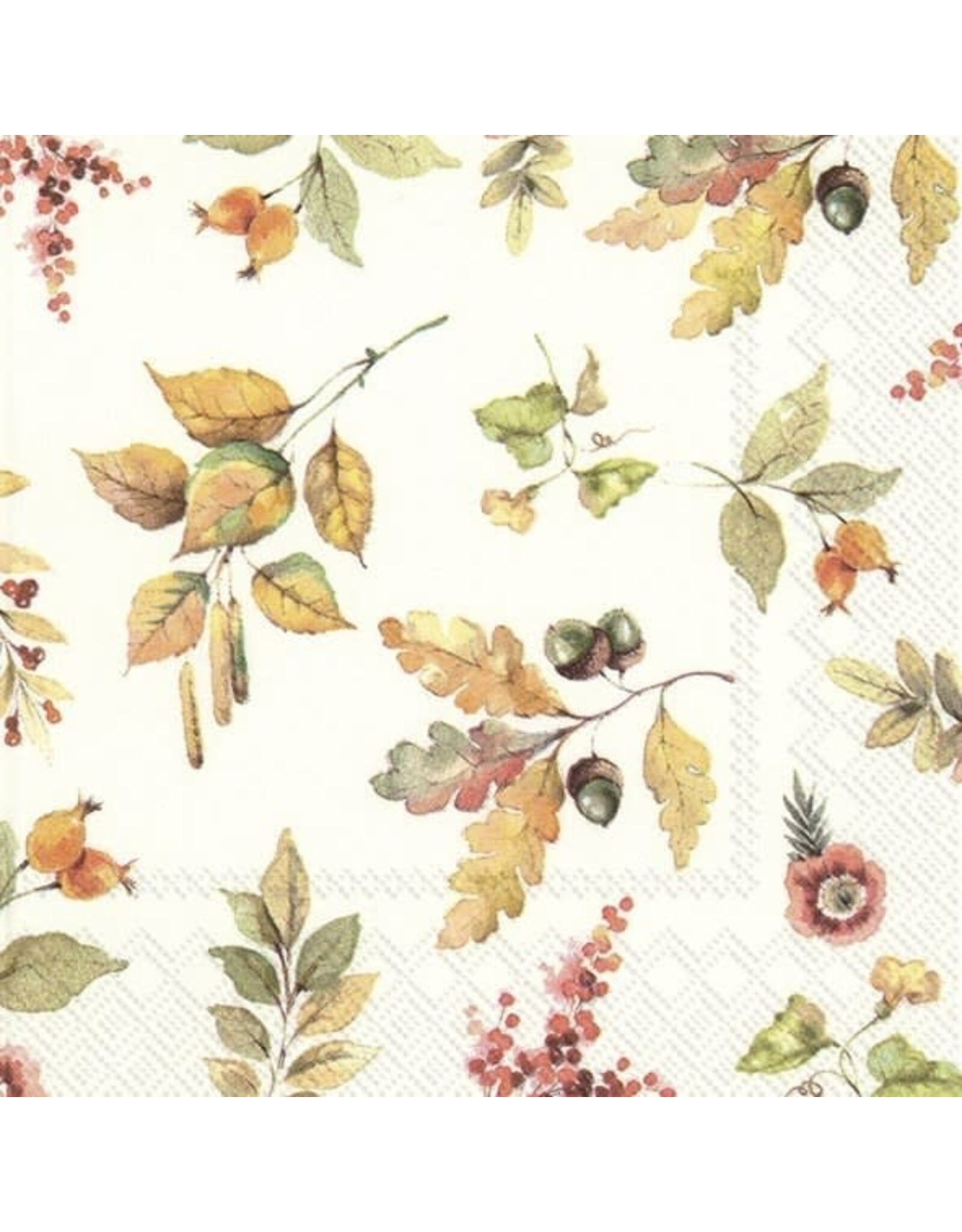 Pumpkin Love Cream Paper Cocktail Napkins