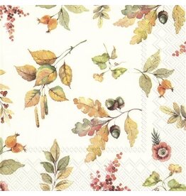 Pumpkin Love Cream Paper Cocktail Napkins