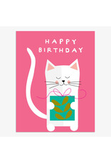 Birthday - Happy Birthday Cat