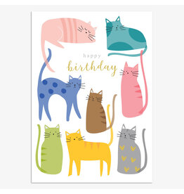 Birthday - Happy Birthday Cats