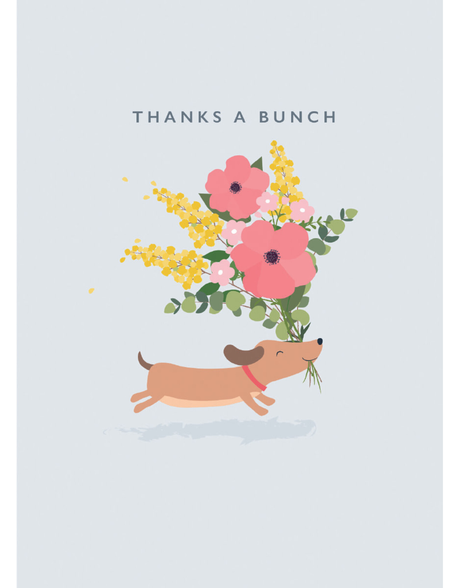 Thank You - Dog With Flowers