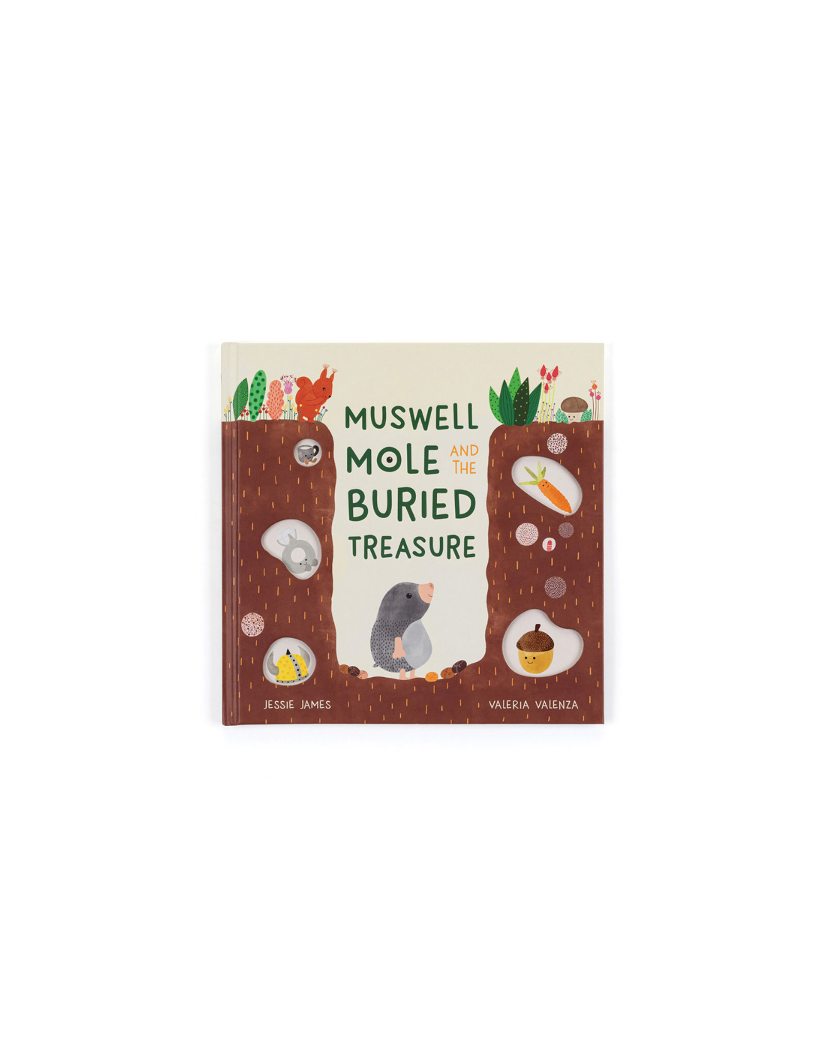 Muswell Mole And The Buried Treasure Book
