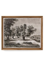 Framed canvas Print - Olive Trees